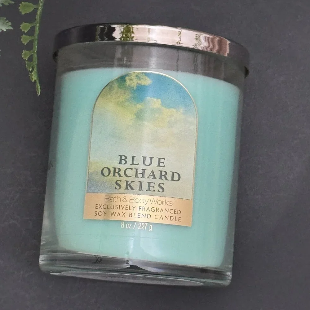 BBW Blue Orchard Skies Bath & Body Works Single Wick Candle